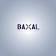 Baxal Executive Search