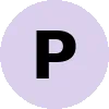 Performance Software Corporation