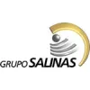 Grupo Salinas