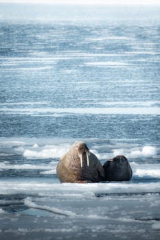 Guardians of the Wild: Preserving Endangered Species